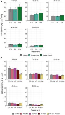 Competing Processes Drive the Resistance of Soil Carbon to Alterations in Organic Inputs